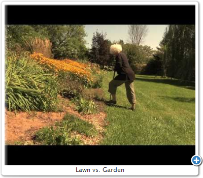 Lawn vs. Garden